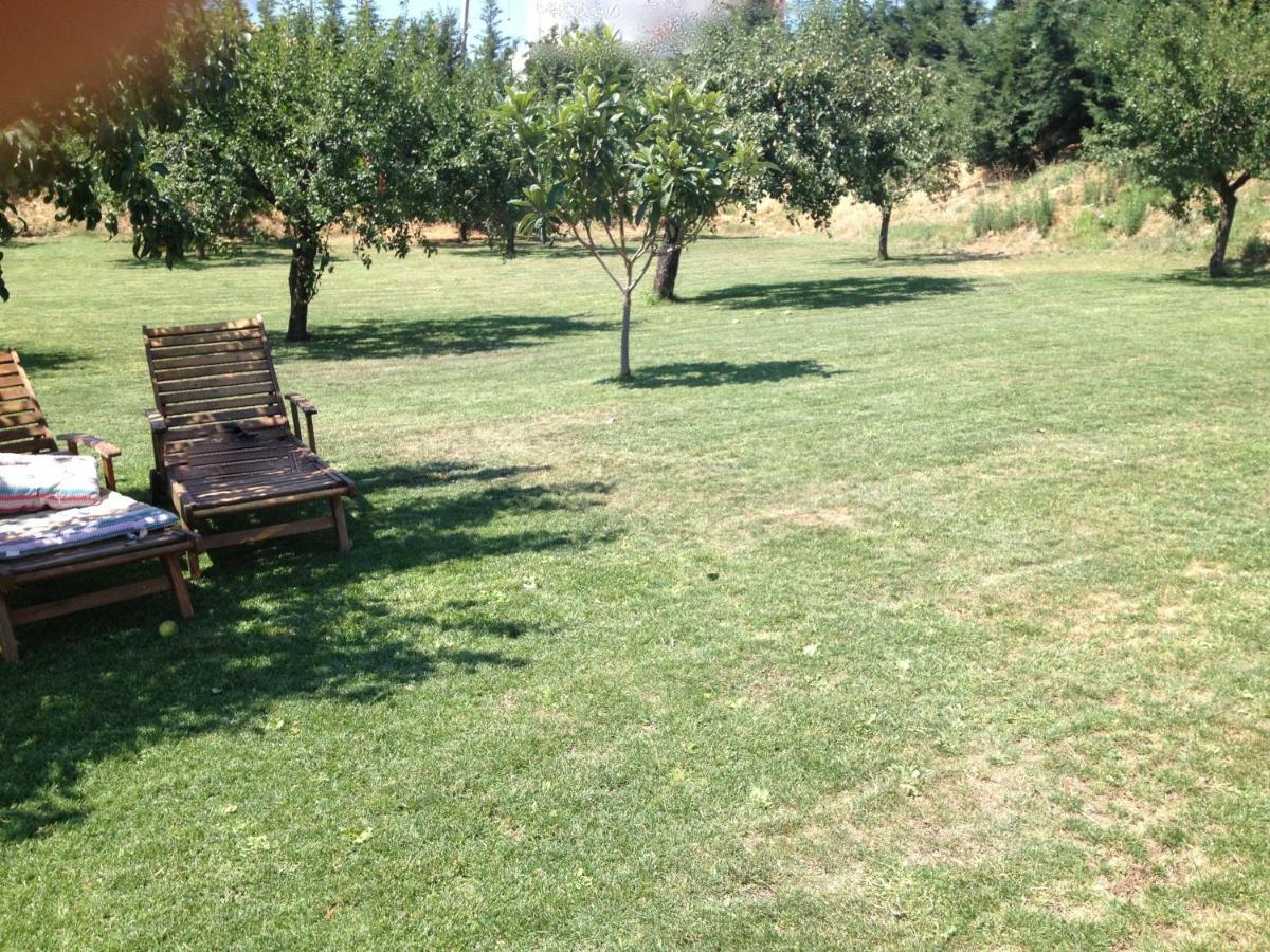 Quinta Da Pereira E Enricas Agro-Turismo Hotel วิลา ฟลอร์ ภายนอก รูปภาพ
